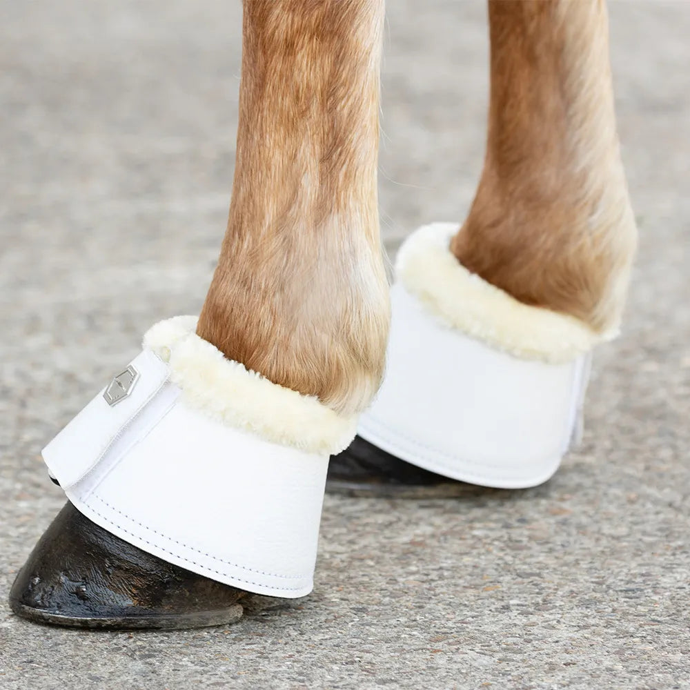 Coldstream Bowden over reach boots - White