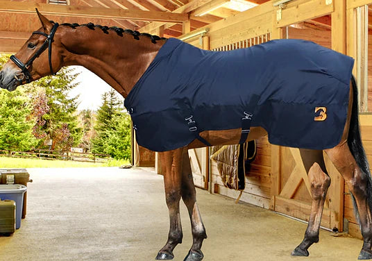 Magnetic horse rug