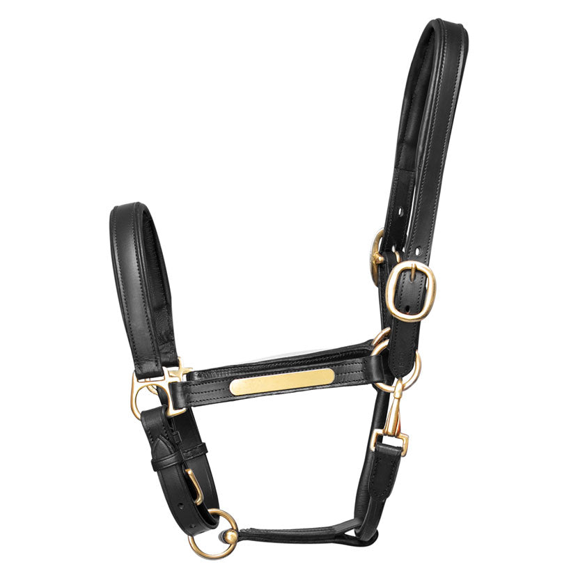 Hy Equestrian leather head collar