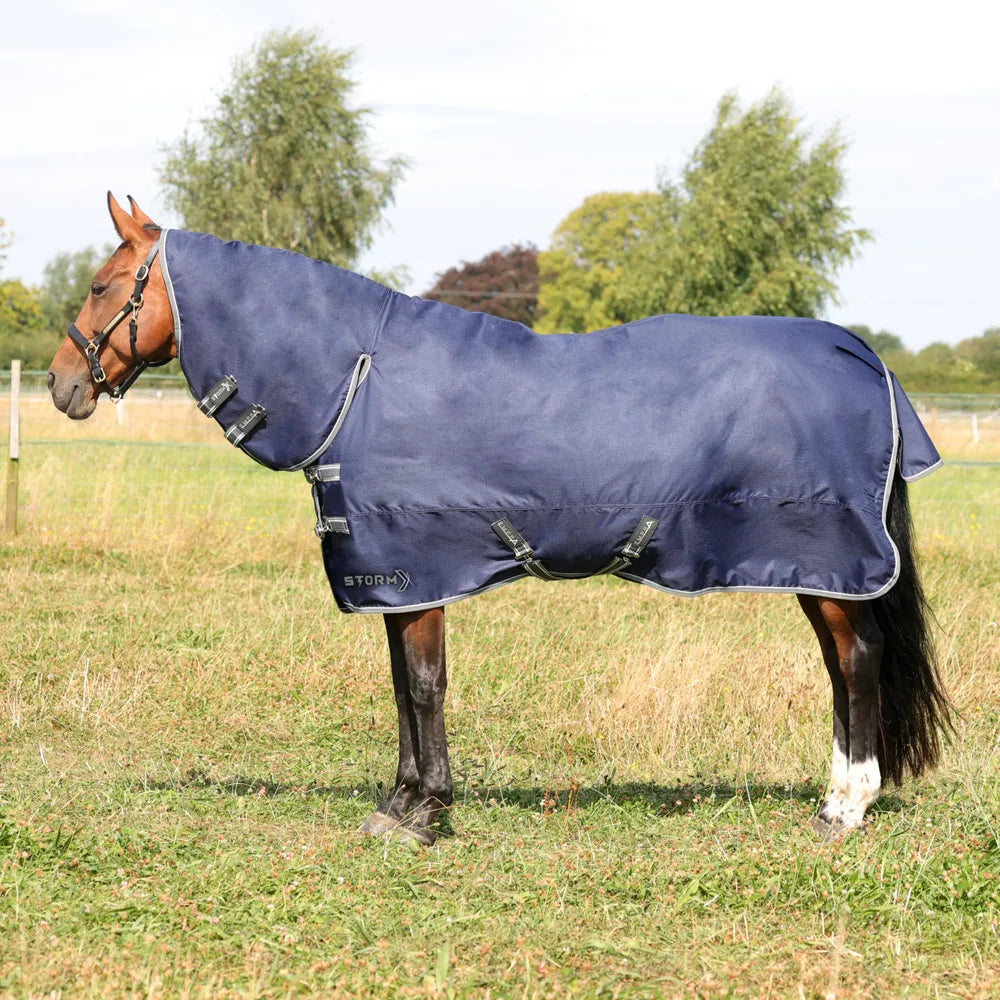 StormX Empra 100 combi turnout rug