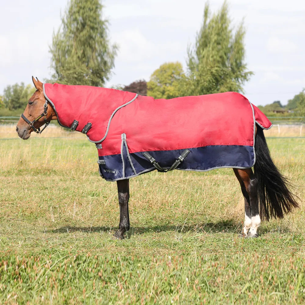 StormX Empra 200 turnout rug with detachable neck