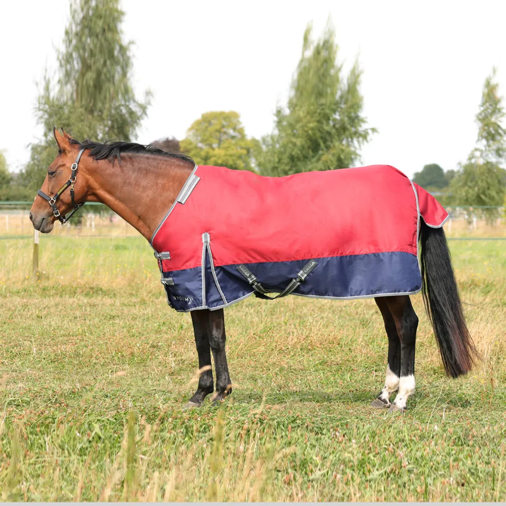 StormX Empra 200 turnout rug with detachable neck