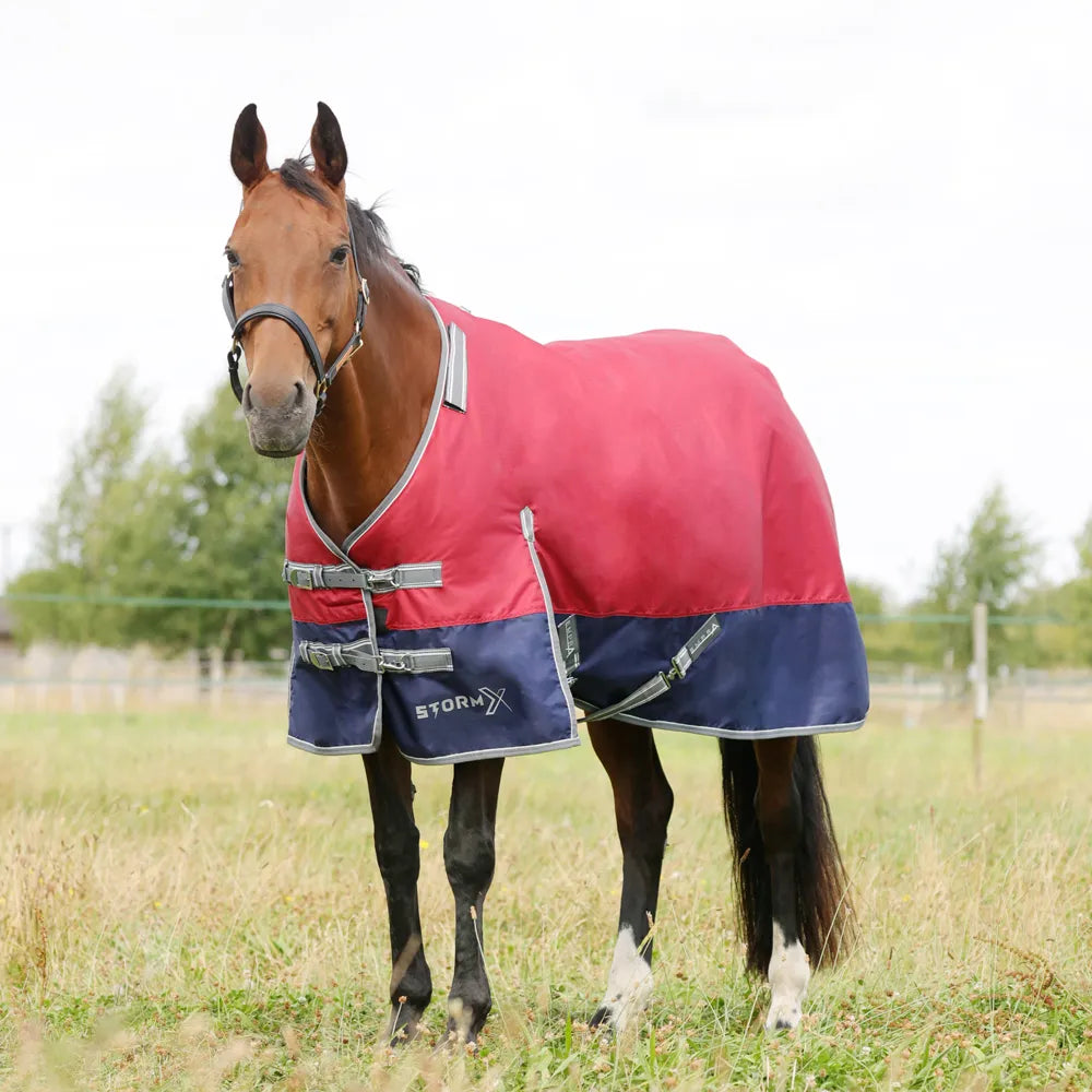 StormX Empra 200 turnout rug with detachable neck