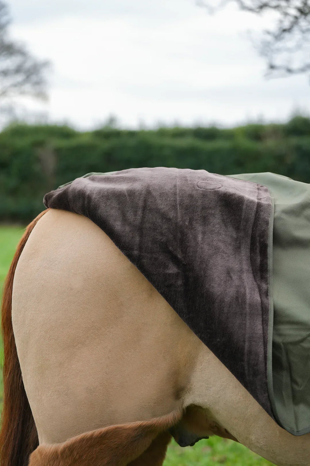 Hunter green waterproof exercise sheet rug
