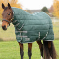 Horse wearing a green quilted blanket in an outdoor setting with trees and grass.