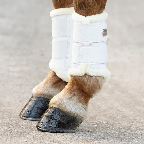 Coldstream Bowden brushing boots (Pack of 2)