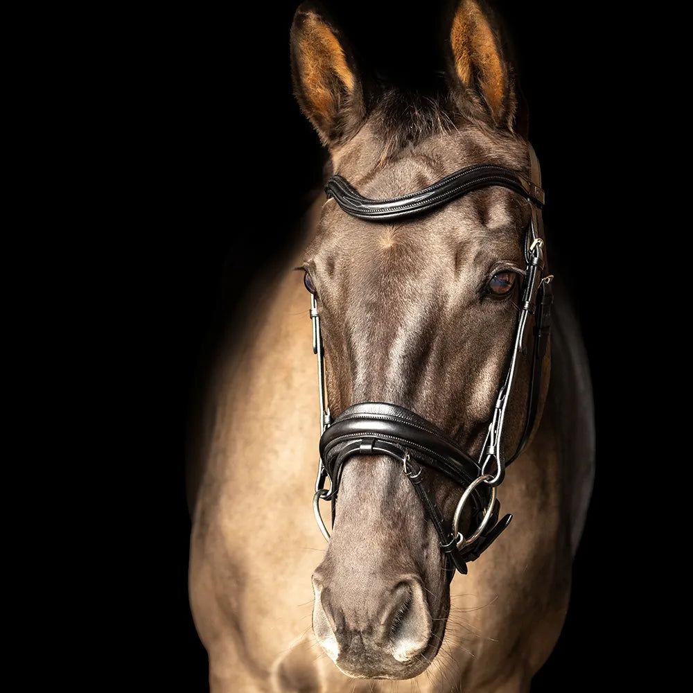 ProPresicce Pelle crank leather bridle by Hy Equestrian