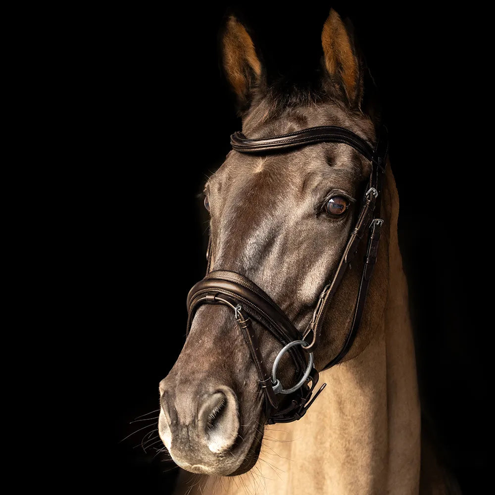 ProPresicce Pelle crank leather bridle by Hy Equestrian