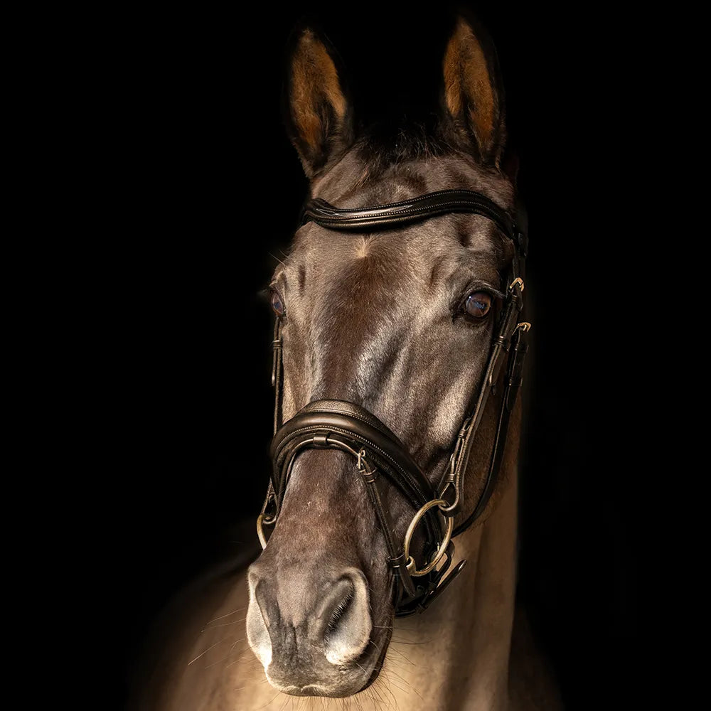 ProPresicce Pelle crank leather bridle by Hy Equestrian
