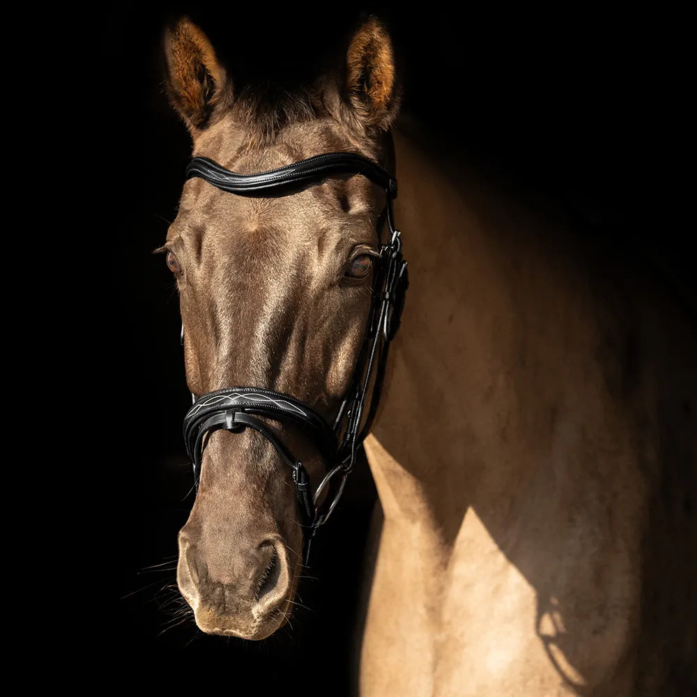 ProPresicce Pelle raised flash leather bridle by Hy Equestrian