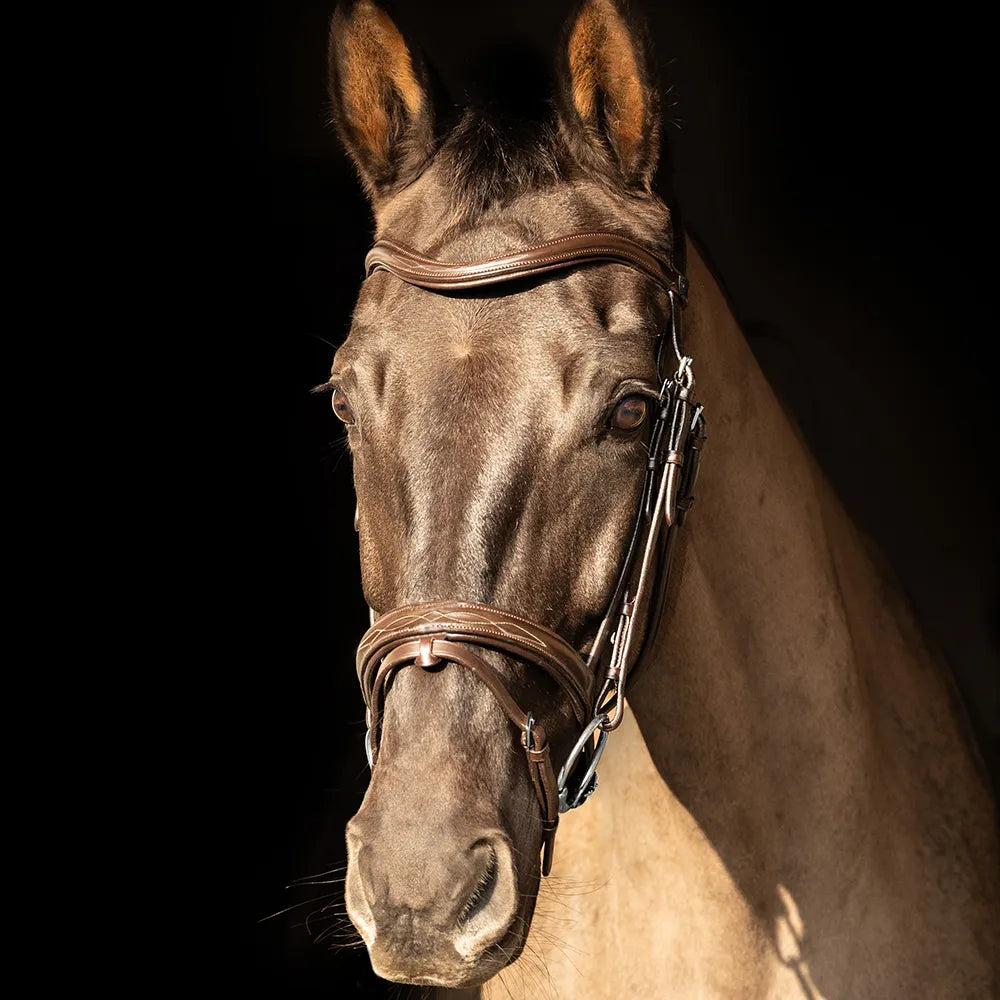 ProPresicce Pelle raised flash leather bridle by Hy Equestrian