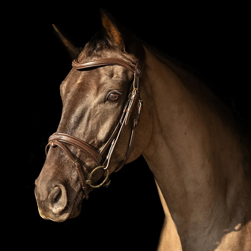 ProPresicce Pelle raised flash leather bridle by Hy Equestrian