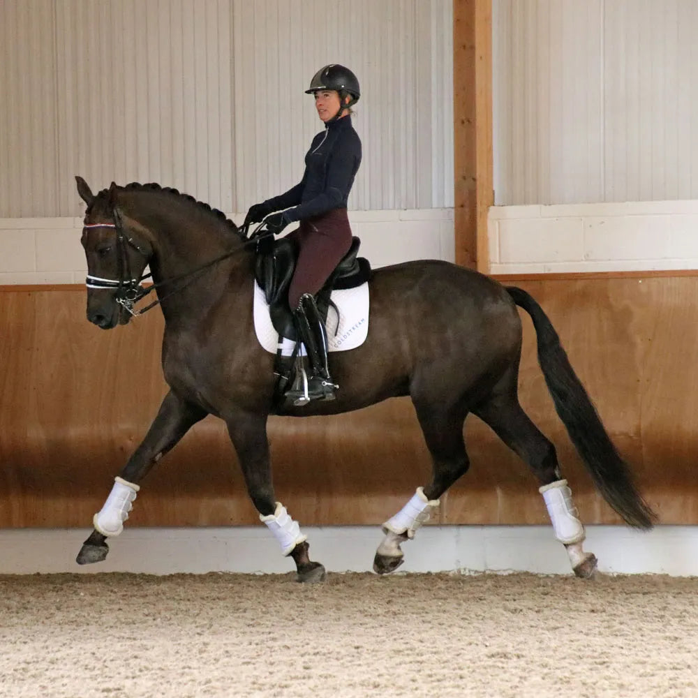 Coldstream lennel base layer