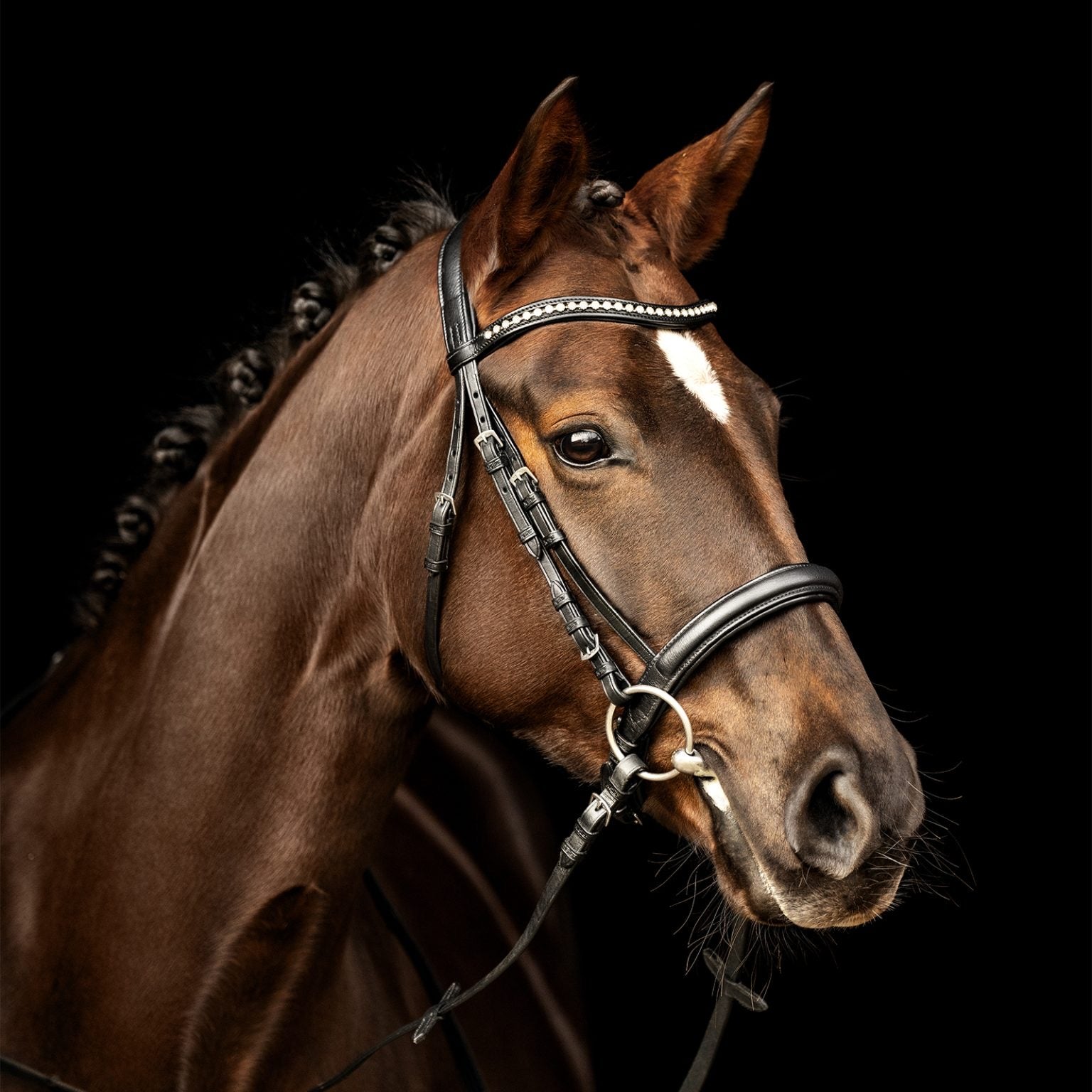 Kieffer ultrasoft sue bridle
