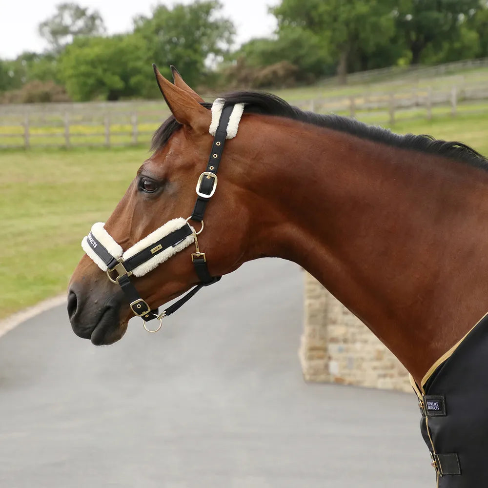 Supreme Products royal occasion head collar