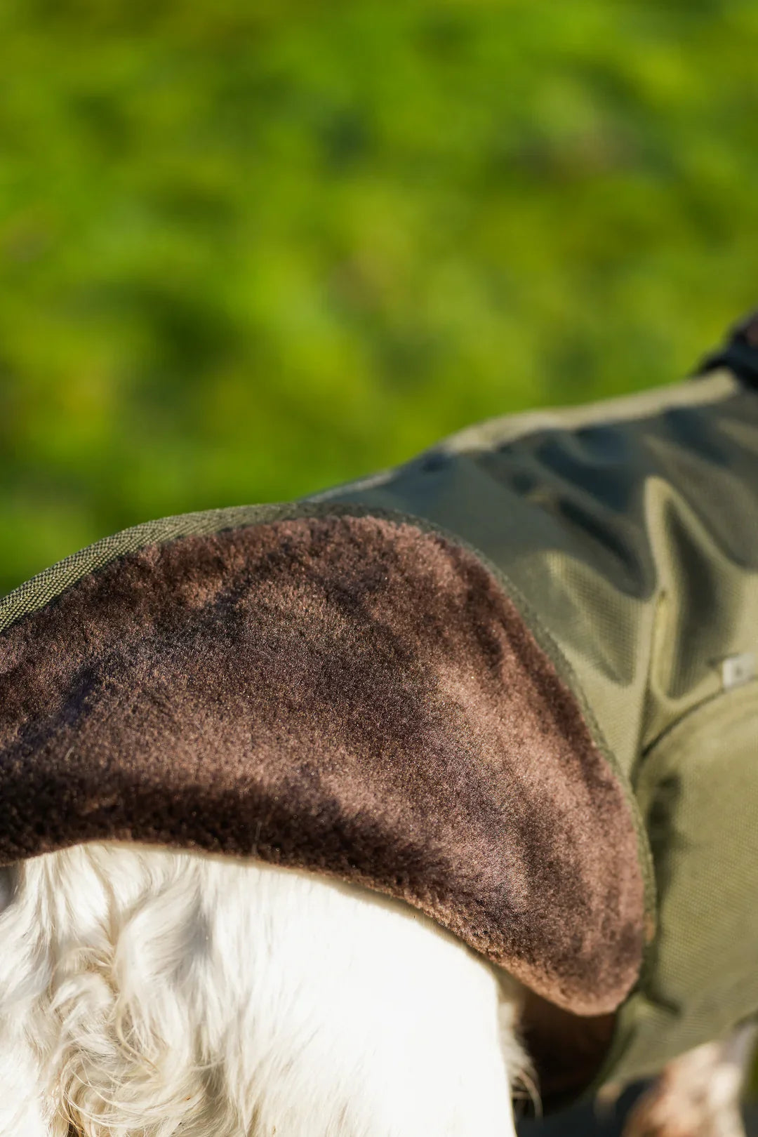 Hunter green waterproof exercise sheet rug