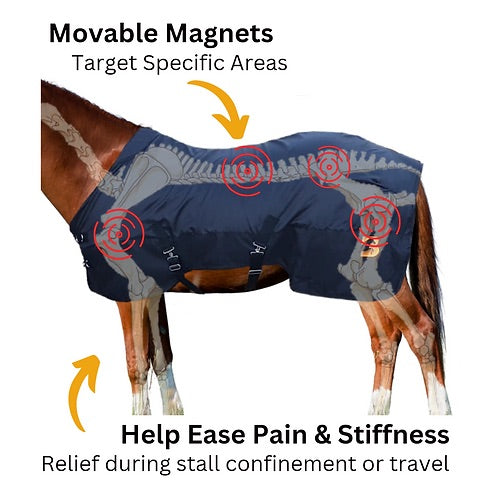 Magnetic horse rug