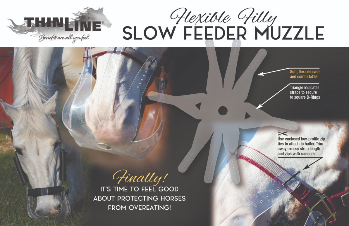 ThinLine Flexible filly grazing Muzzle