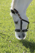 ThinLine Breakaway field safe headcollar