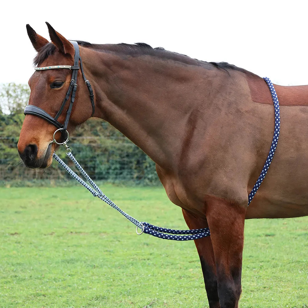 Hy Equestrian lunging aid