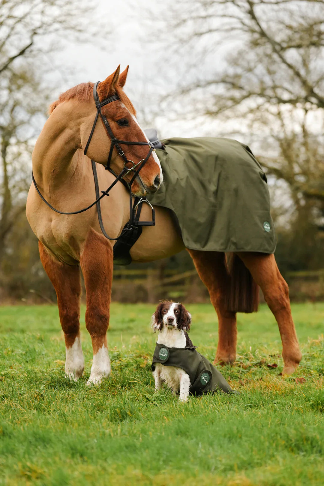 Hunter green waterproof exercise sheet rug