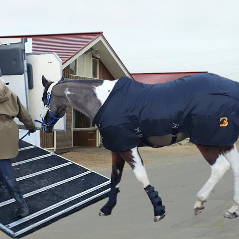 Magnetic horse rug