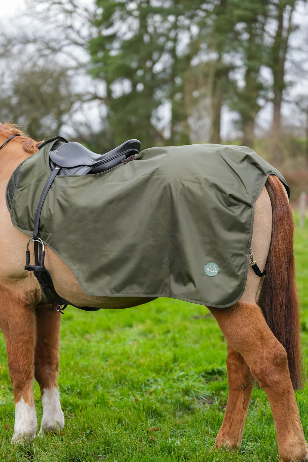 Hunter green waterproof exercise sheet rug