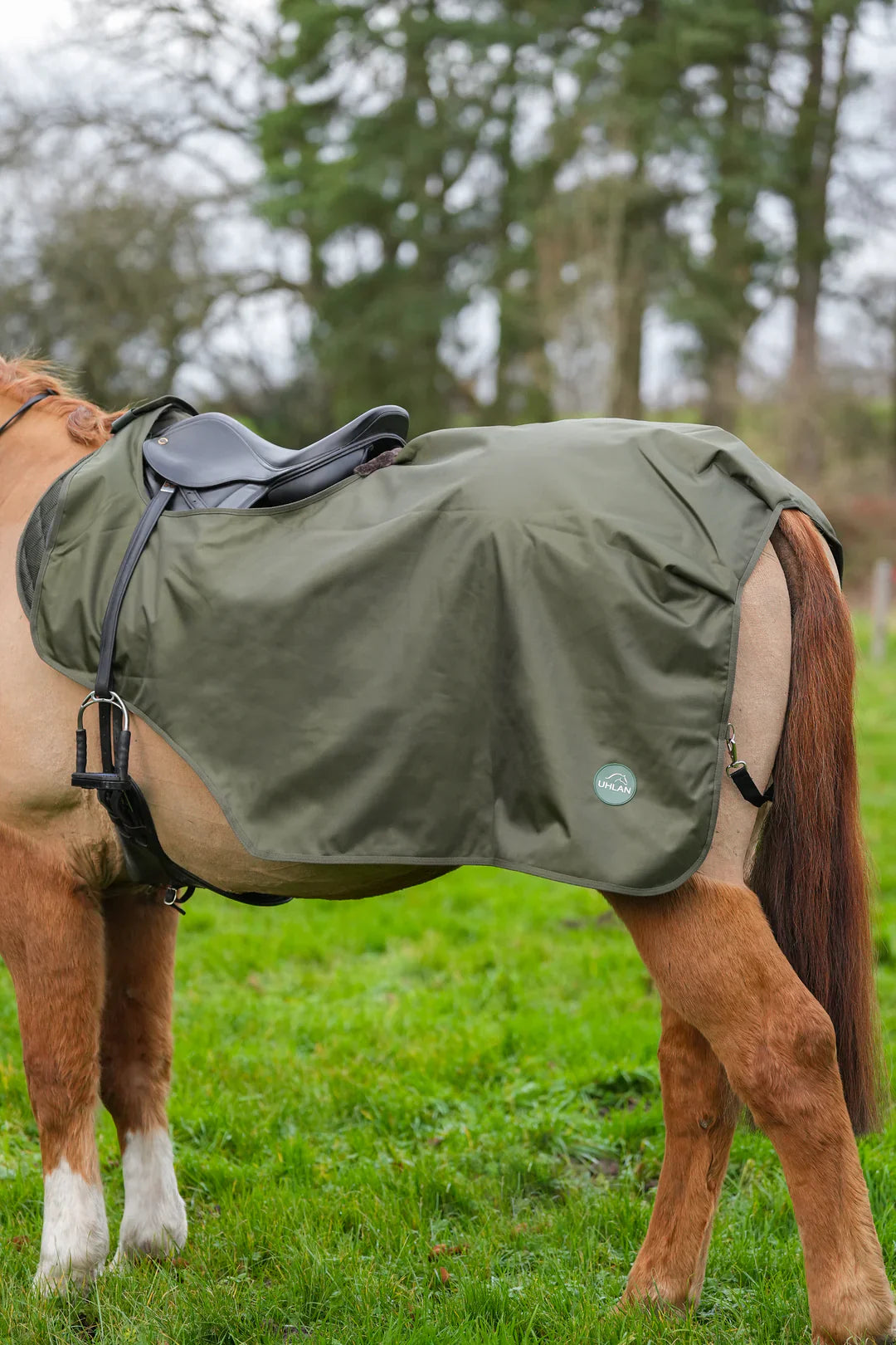 Hunter green waterproof exercise sheet rug