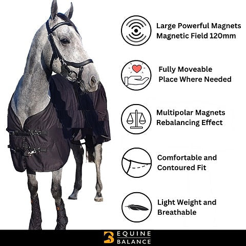 Magnetic horse rug