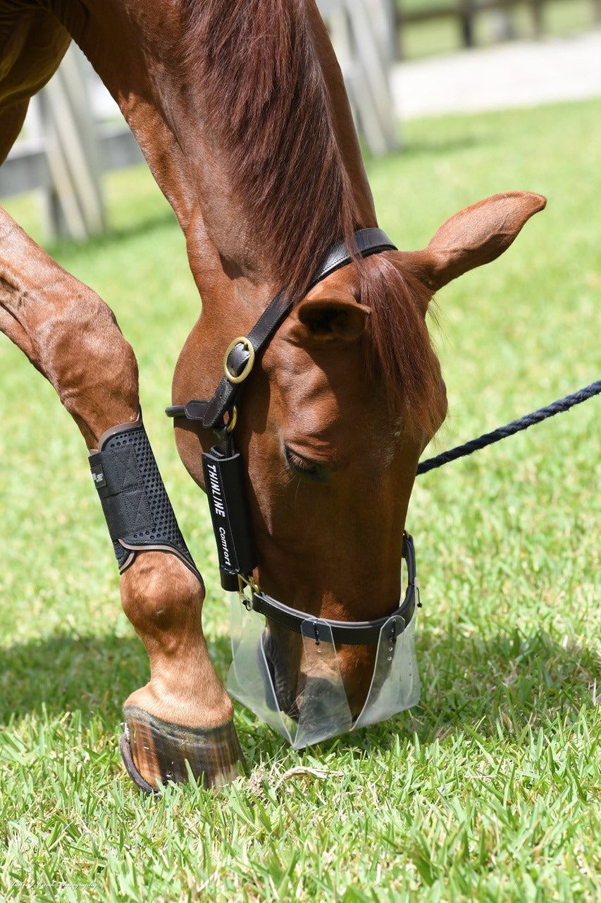 ThinLine Flexible filly grazing Muzzle