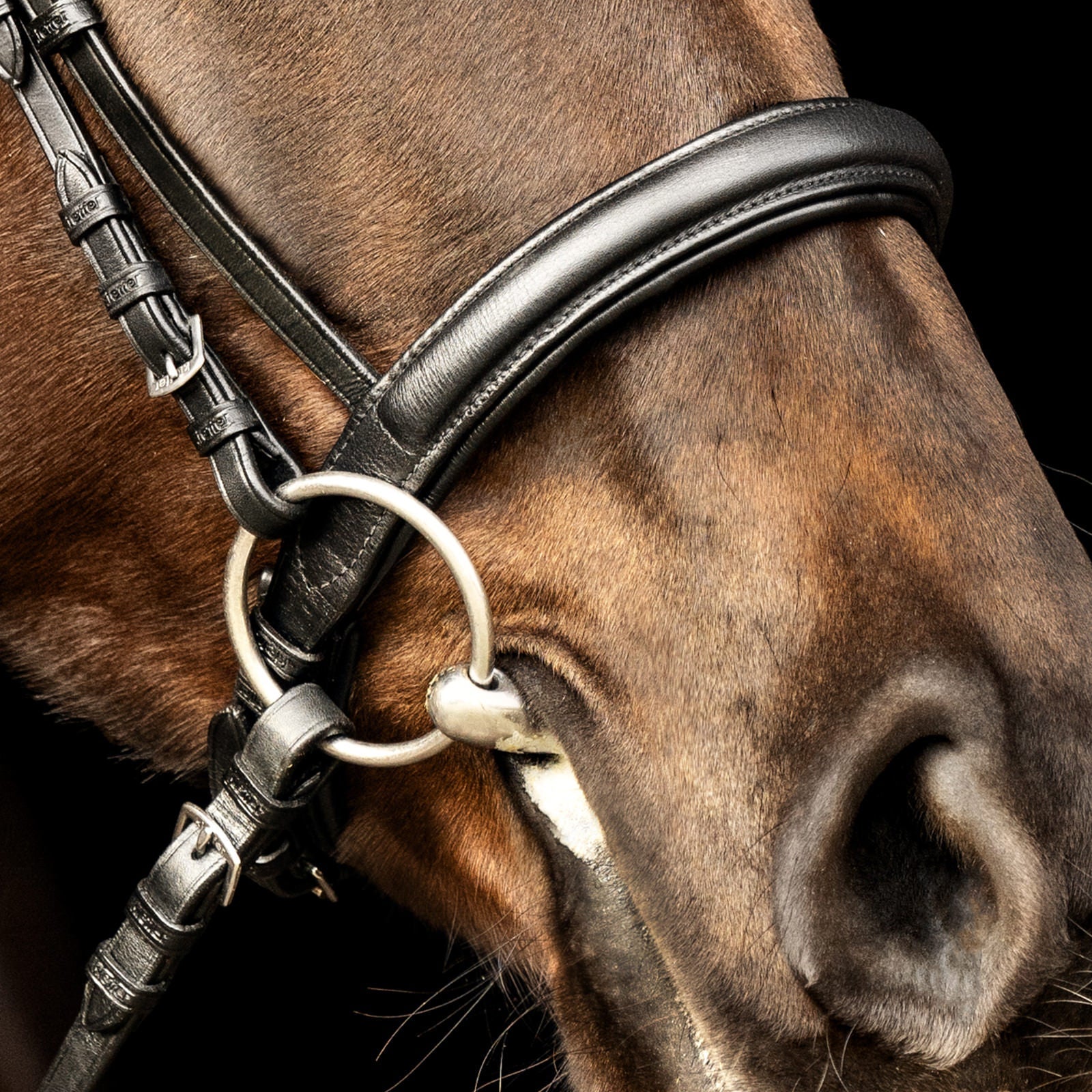 Kieffer ultrasoft sue bridle