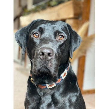 KM Elite Argentinian dog lead - Traditional