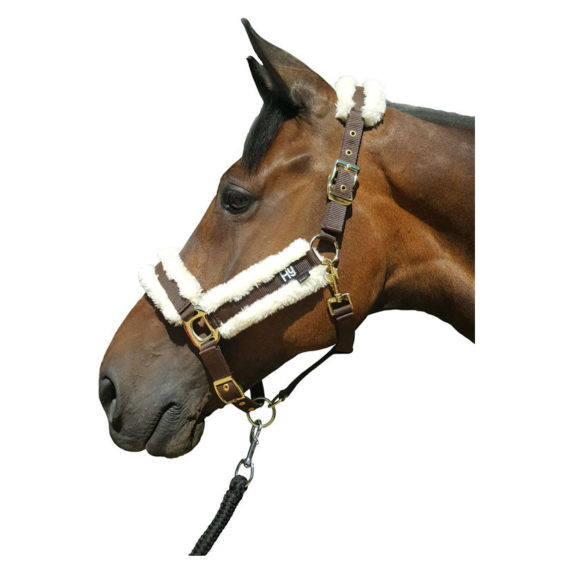 Hy Equestrian faux sheepskin head collar