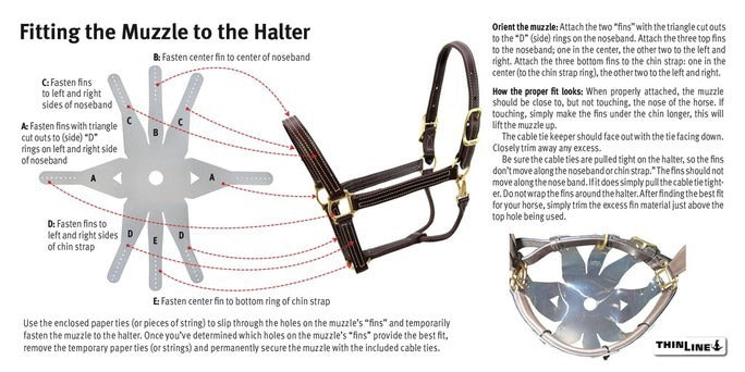 ThinLine Flexible filly grazing Muzzle