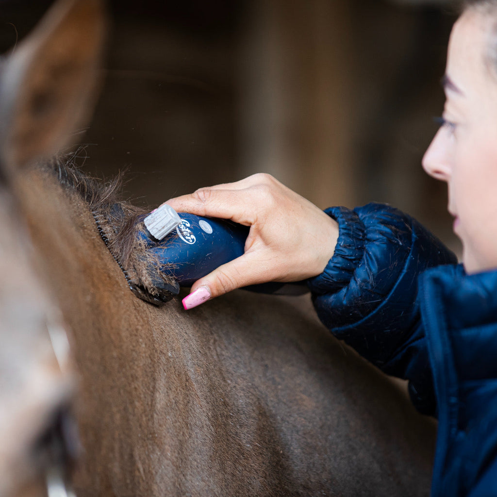 Lister eclipse equine clipper