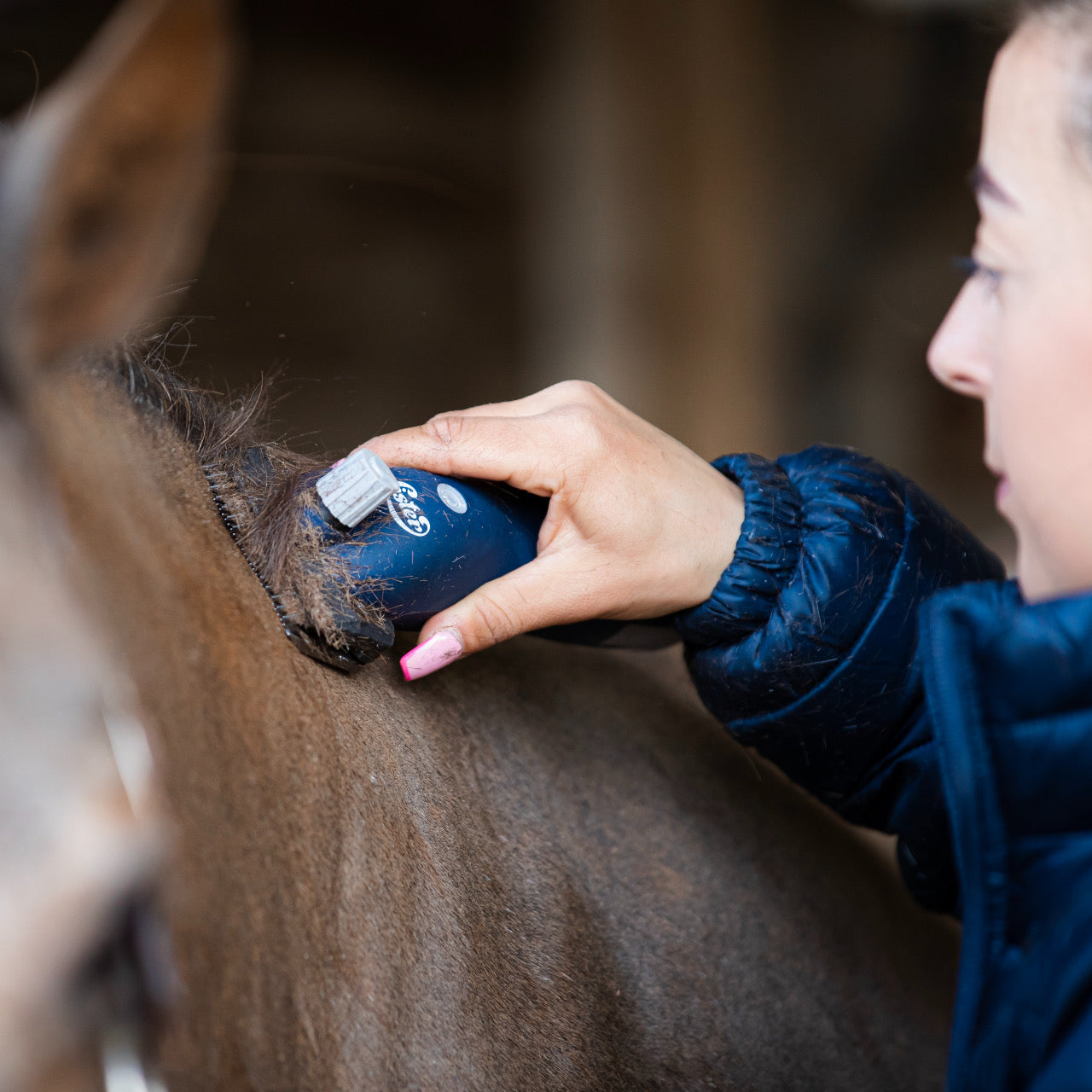 Lister eclipse equine clipper