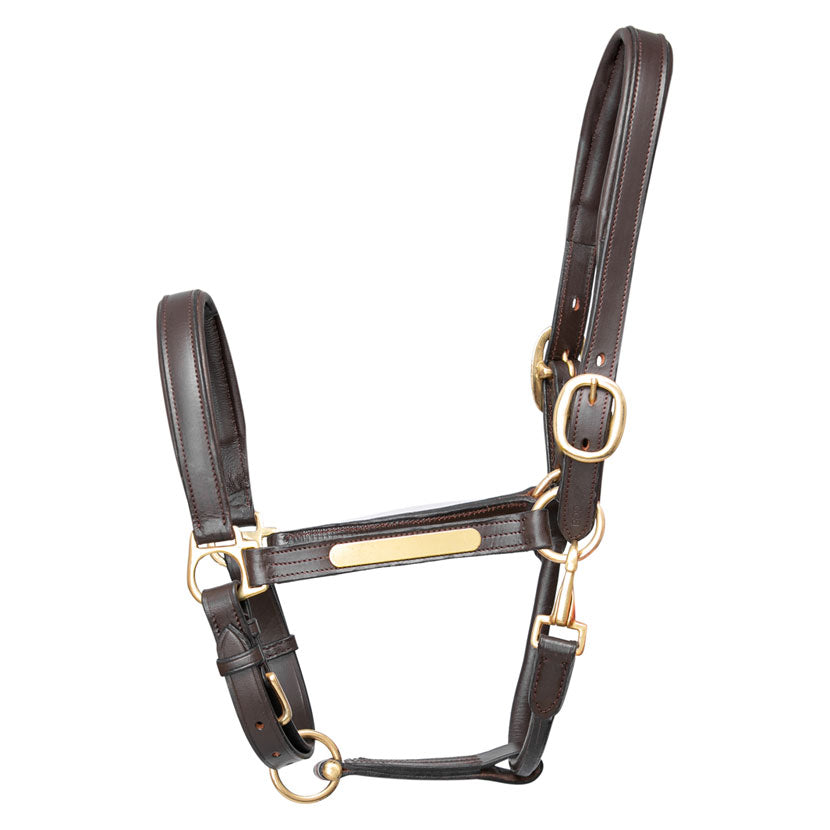 Hy Equestrian leather head collar