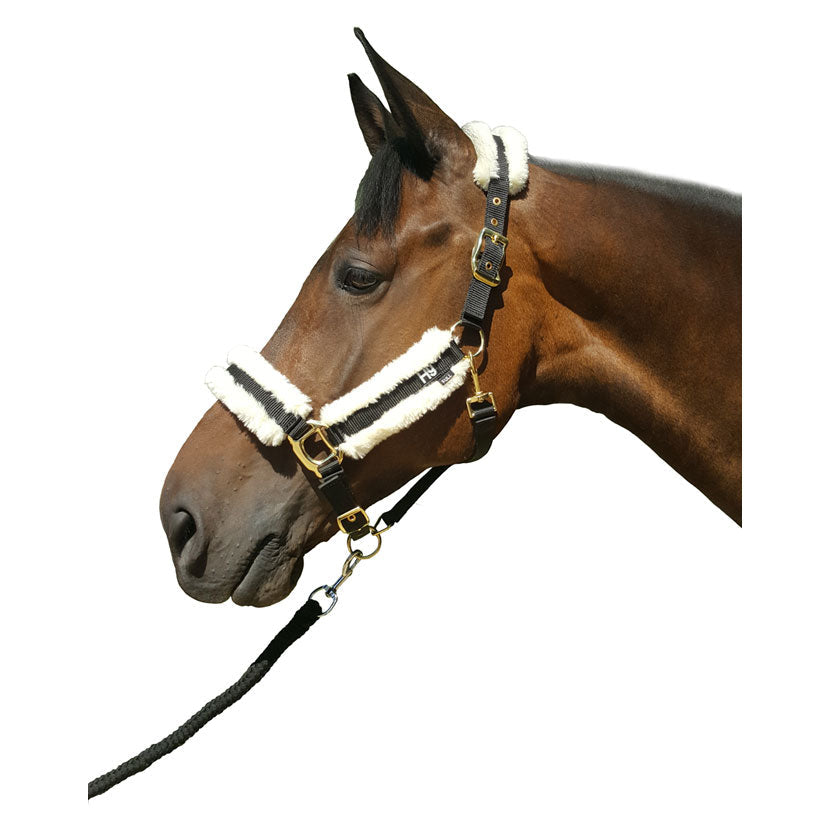 Hy Equestrian faux sheepskin head collar