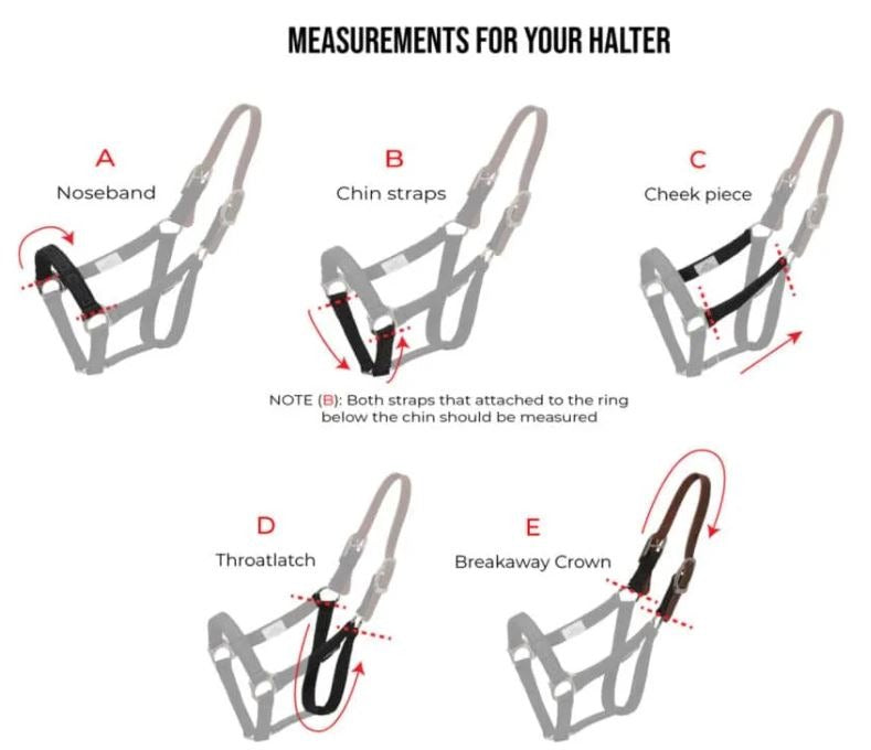 ThinLine Breakaway field safe headcollar