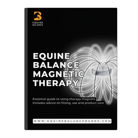 Magnetic therapy neck cover