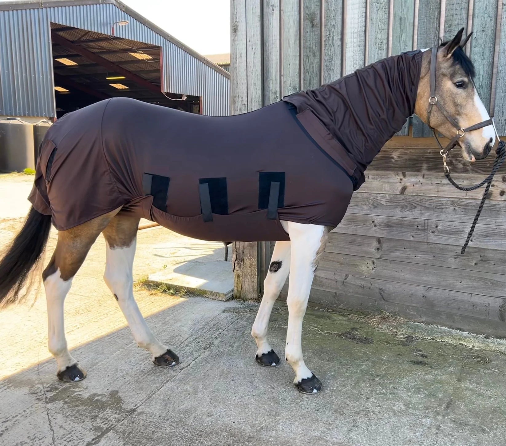 Bug body fly rug