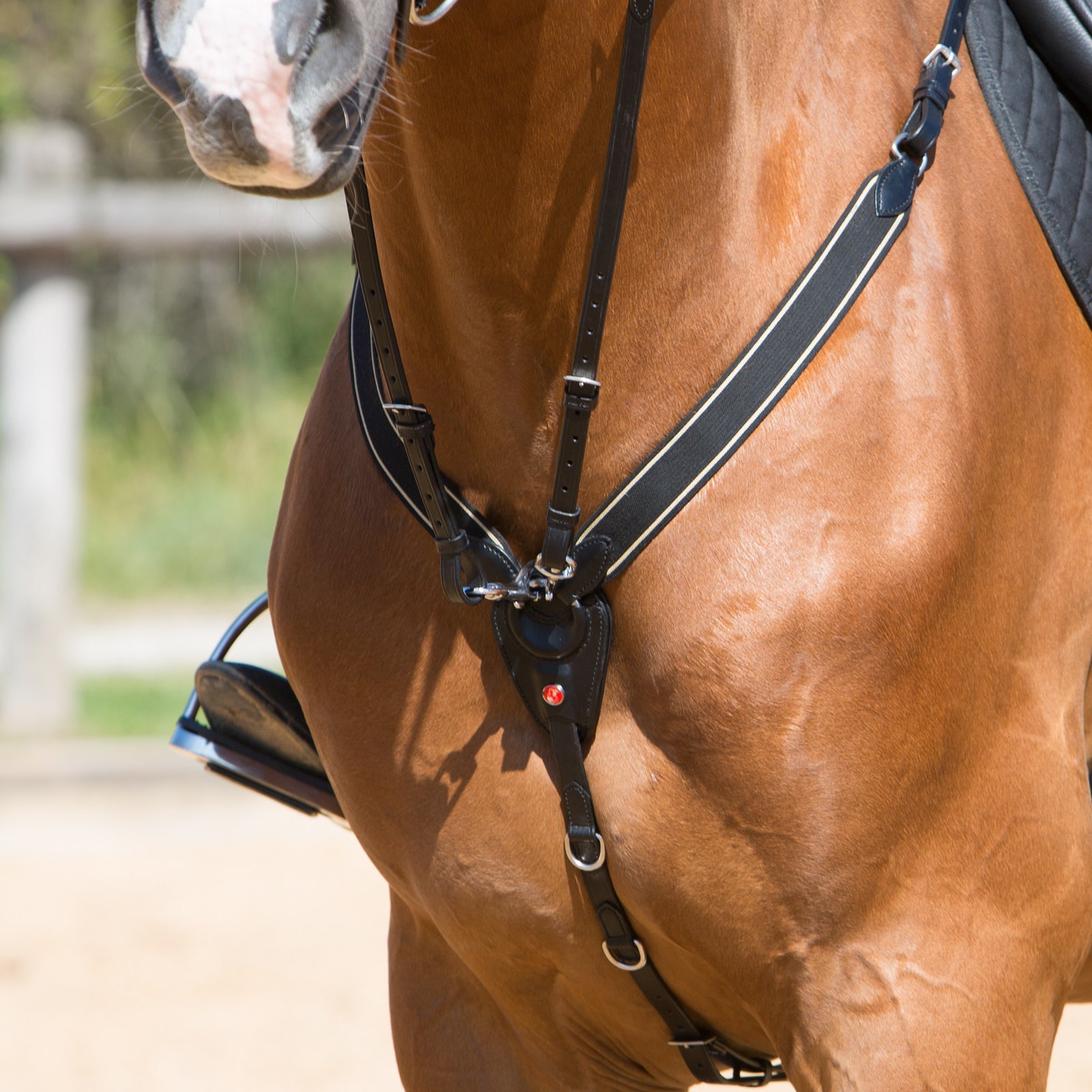 Kieffer Breastplate Arlene