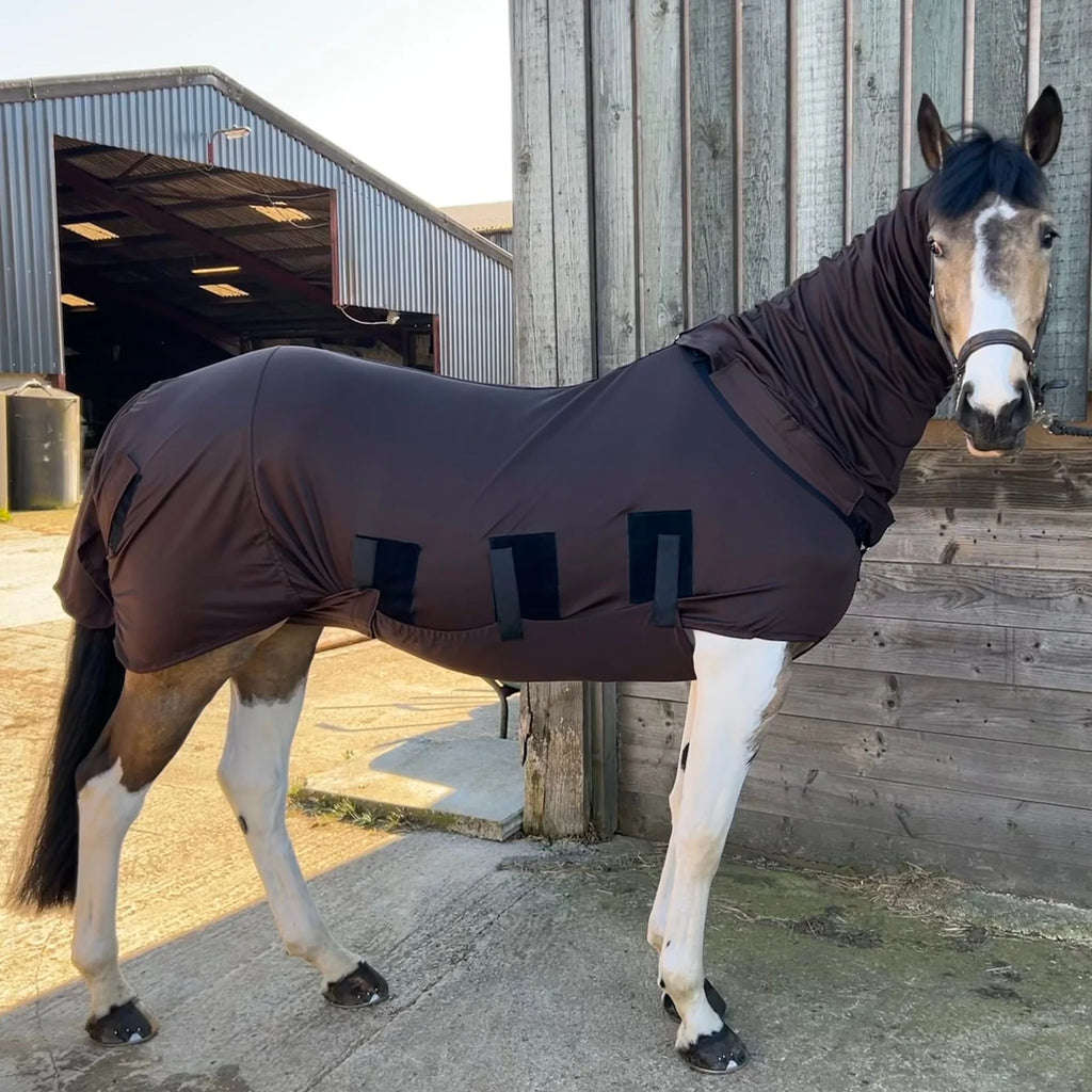 Bug body fly rug