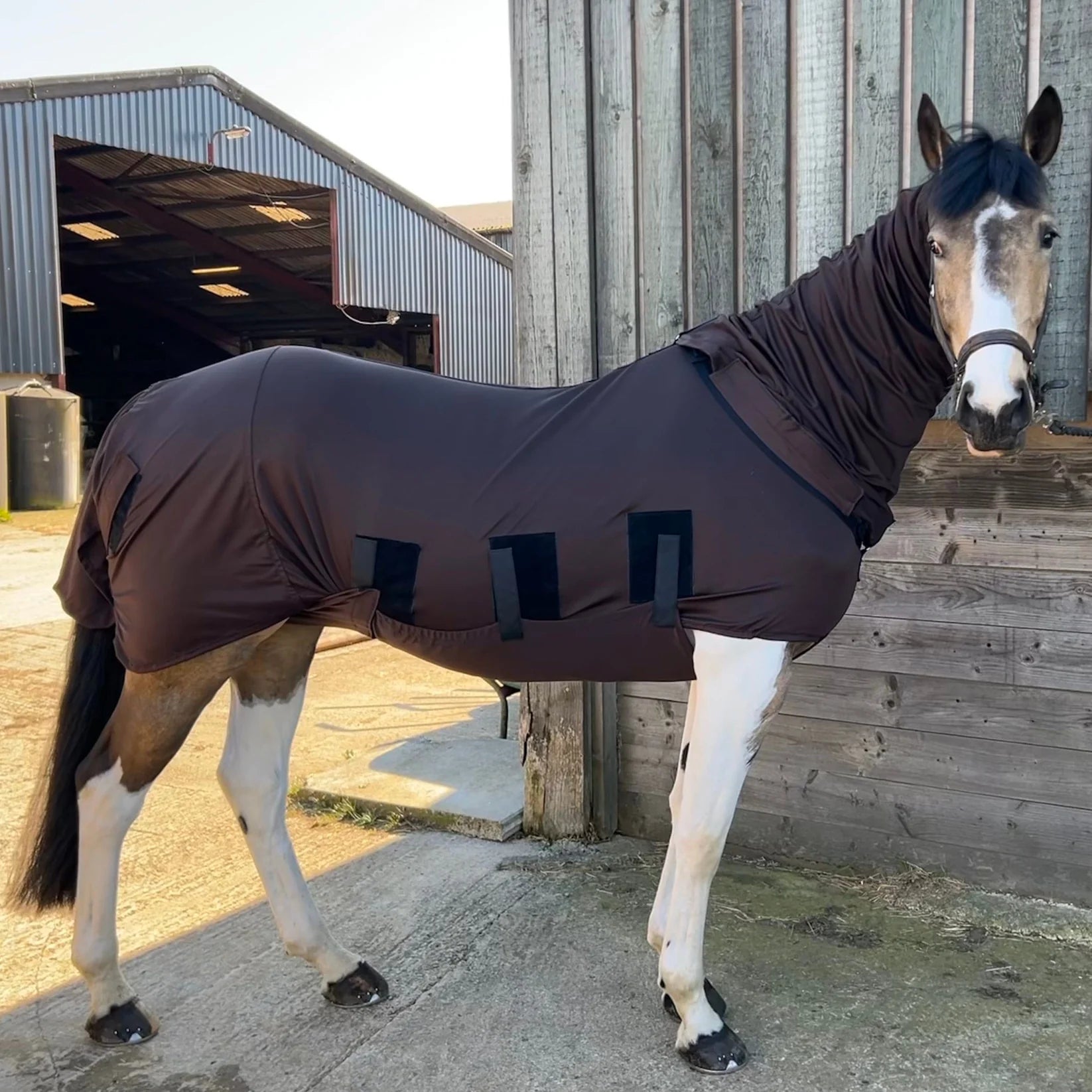 Bug body fly rug