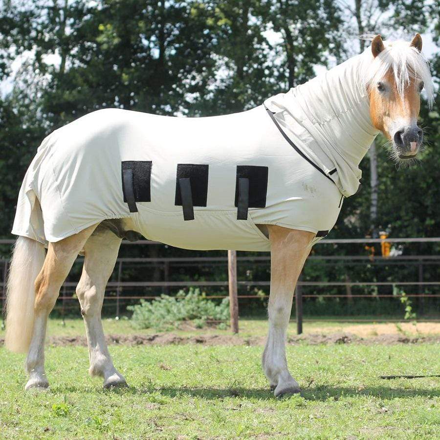 Bug body fly rug