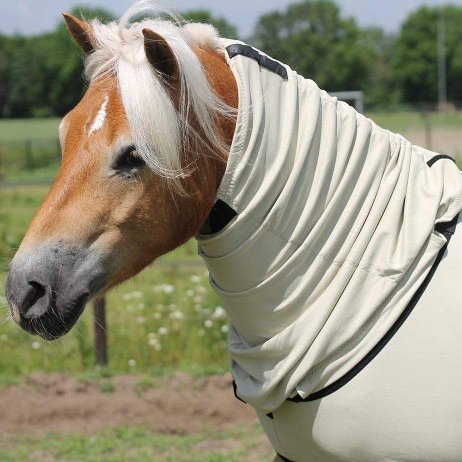Bug body fly rug