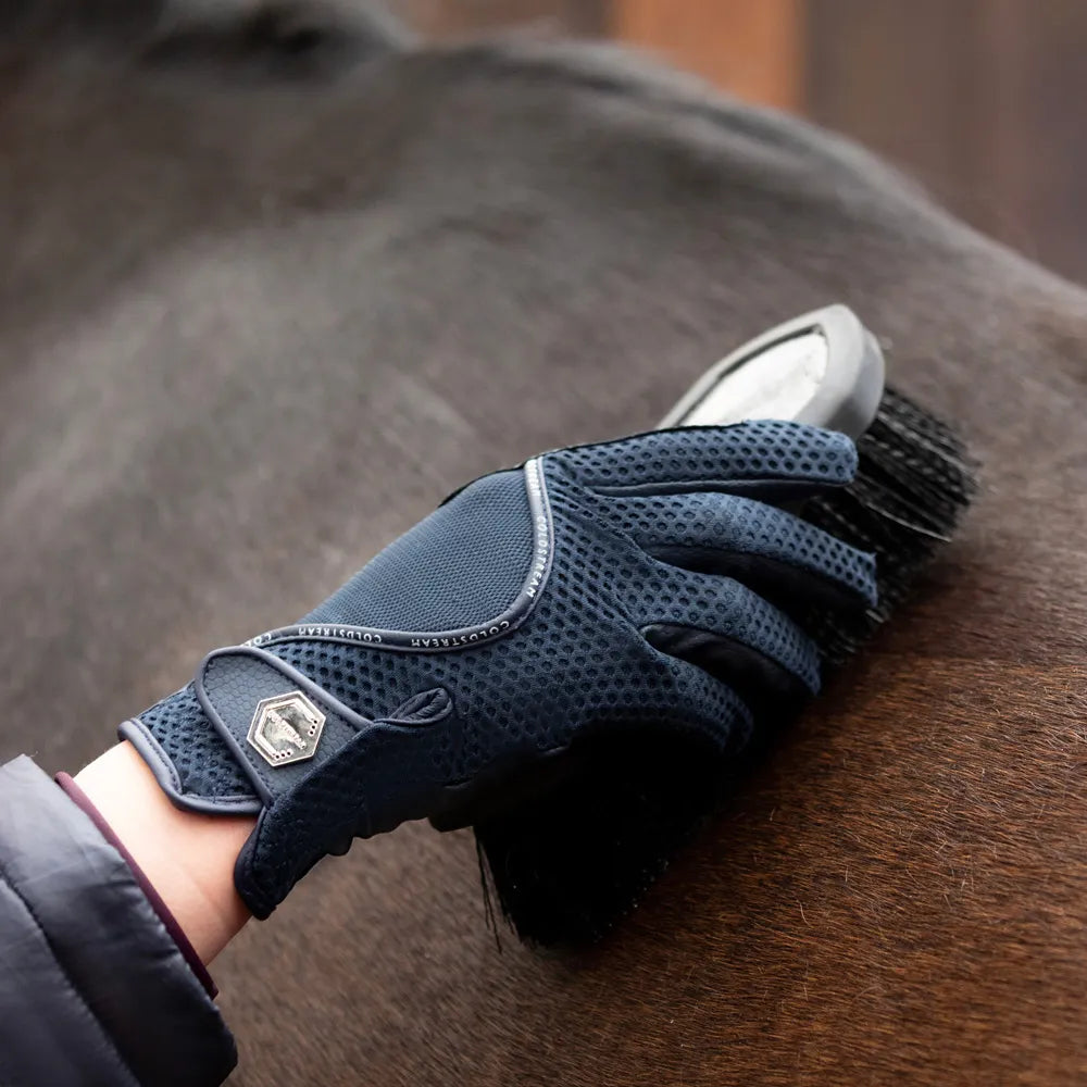 Person grooming a horse with a blue glove and brush