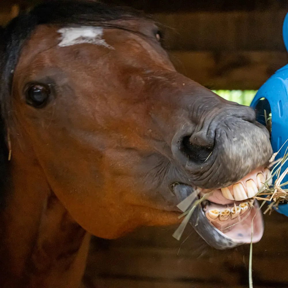 Horsemen's pride jolly hay ball