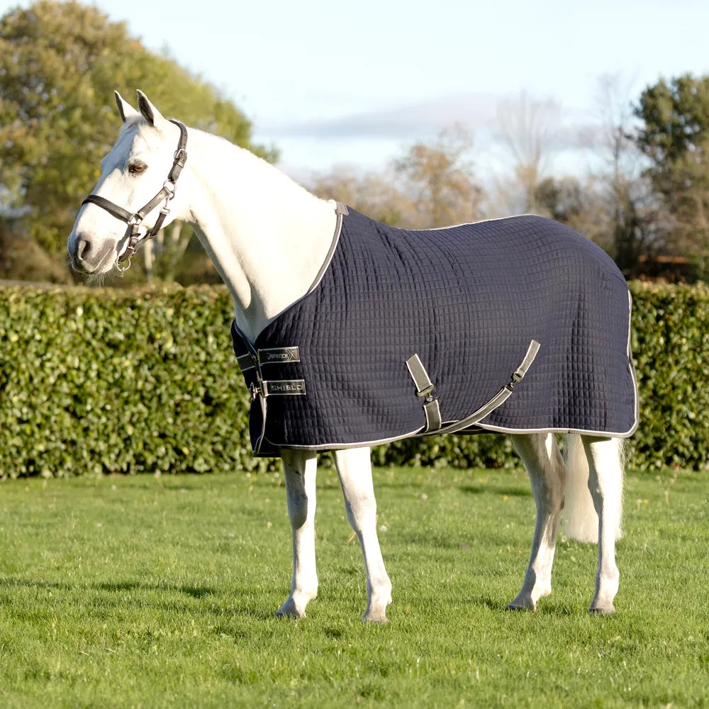 DefenceX Shield thermal rug