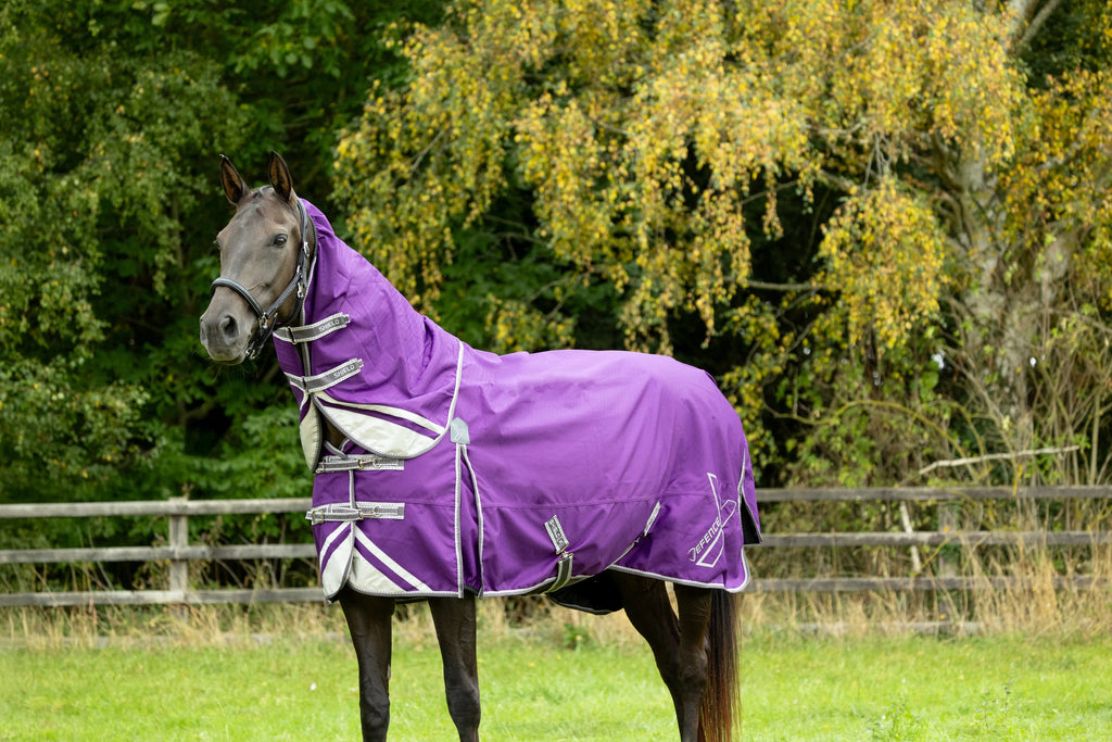 DefenceX shield 0g turnout rug with detachable neck